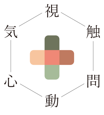 六診（視診・触診・問診・動診・心診・気診）を表す図